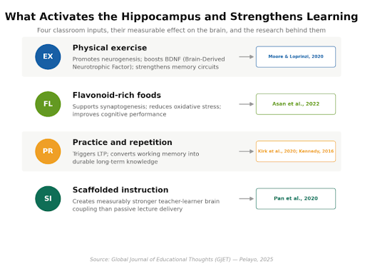 what activates the Hippocampus and strengthens Learning what activates the Hippocampus and strengthens Learning
